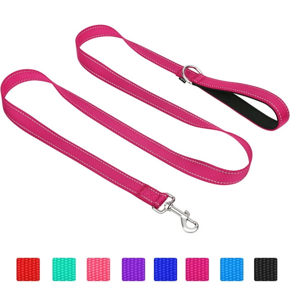 Taglory Dog Leash, 6ft Nylon Reflective Leashes for Large Dogs Walking & Training, Hotpink