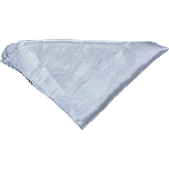 Tags Weekly Mens Silk Pocket Square, Blue, One Size