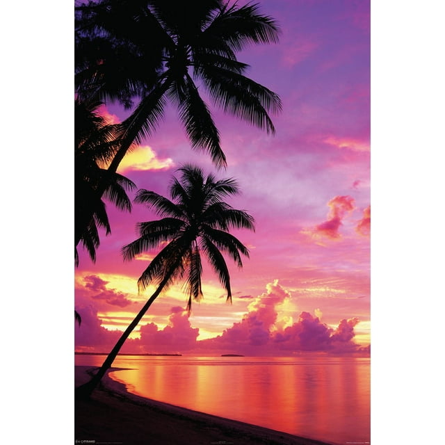 Tahitian Sunset Photo Photograph Cool Wall Decor Art Print Poster 24x36