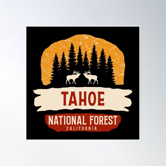 Tahoe National Forest Poster Wall Art, Modern Wall Decor, 30x30 UNFRAMED