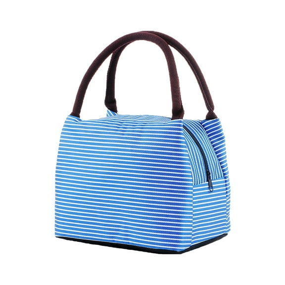 Tahtuvzn School Home Decor Lunch Bag for Women Tote Organizer Reusable Coolers Outdoor Work Picnic with Pockets