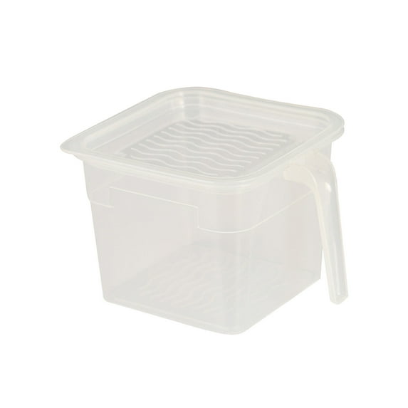 Tahtuvzn School Home and Kitchen Small, Plastic Transparent Covered Refrigerator Vegetable Fruit Sorting Storage Food Box, Fresh Christmas Gifts