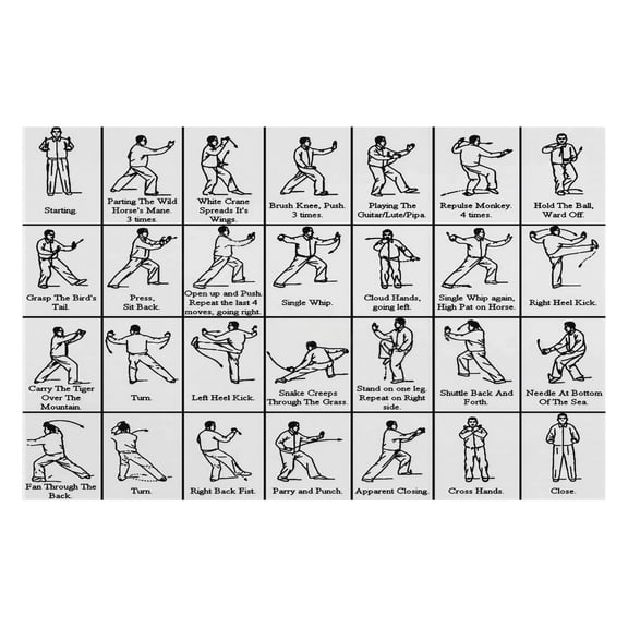 Tai Chi 24 Step Practice Poster Martial Arts Meditation Chart for Beginners Mindful Movement Guide for Home Studio and Wellness Center Decor