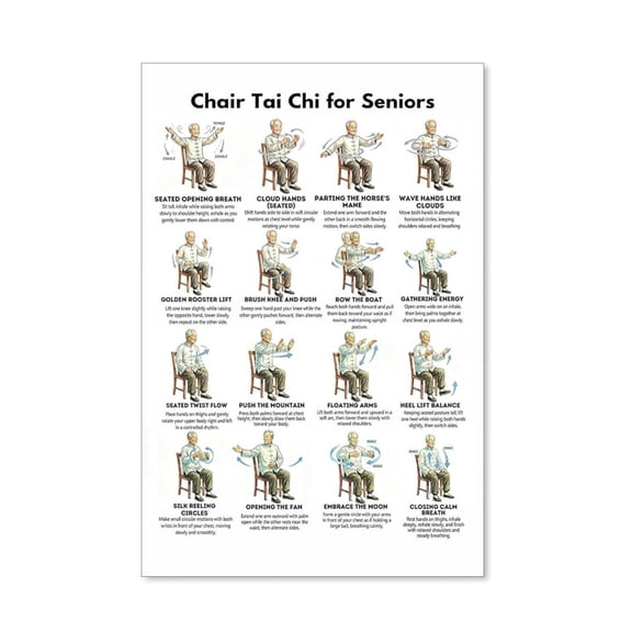 Tai Chi Chair Exercise Wall Art Seated Workout Guide For Seniors 16X20 Inch Unframed Canvas Poster Chart Home Gym Decor