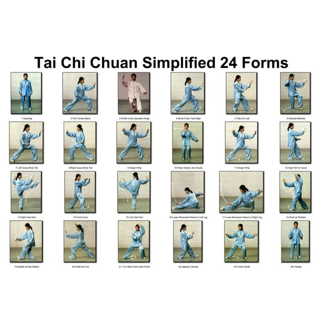 Tai Chi 24 Form Slow Motion With Instructions Tai Chi Chuan 24 Forms Poster 24x36 24inx36in Unframed, Age: Adults