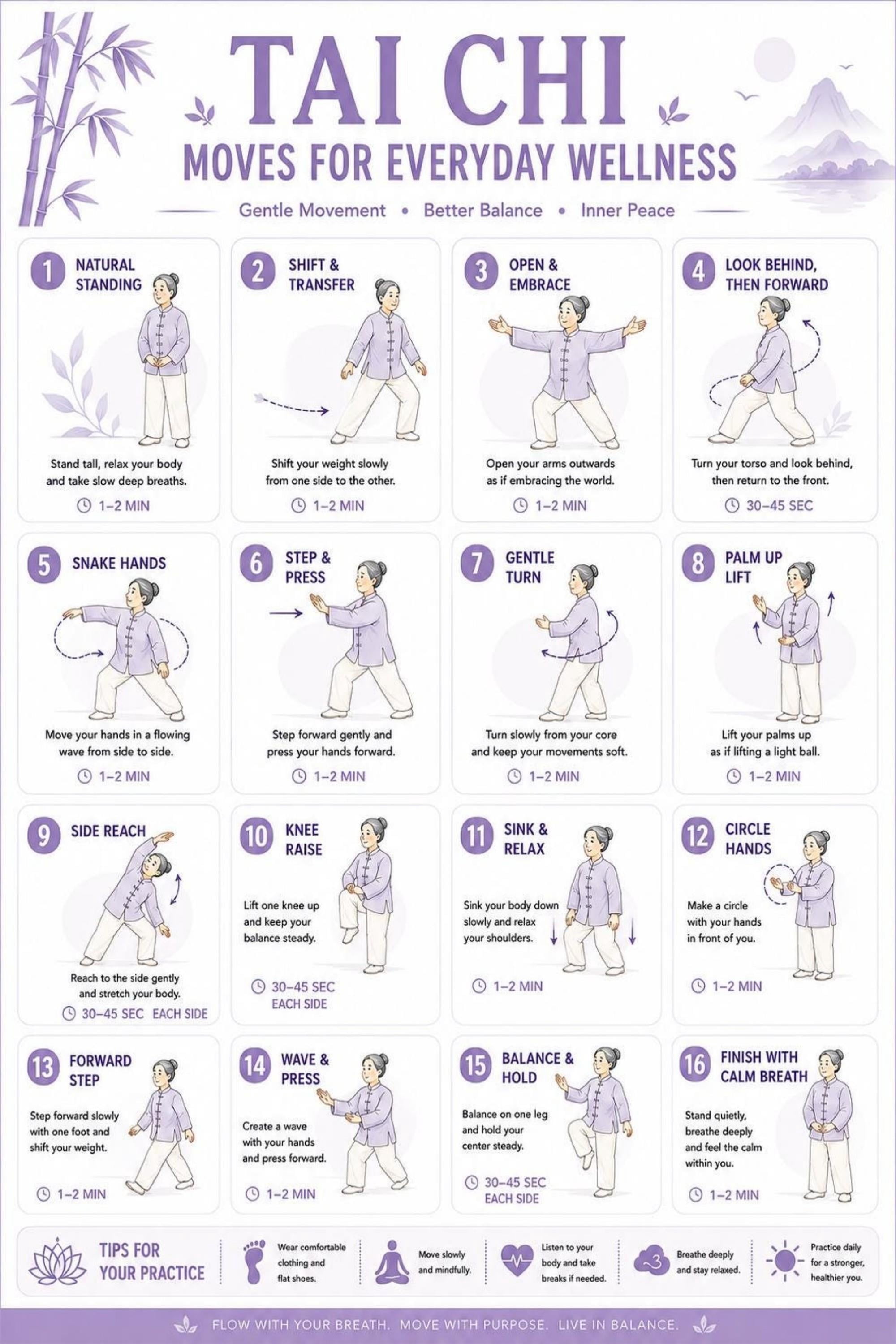 Tai Chi Exercise Poster Gentle Movements for Balance Chart - Walmart.com