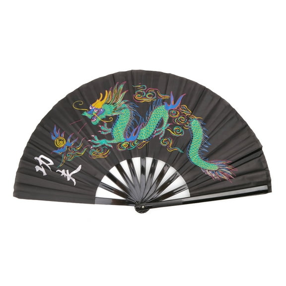 Tai Chi Fan, Tai Chi Martial Arts Chinese Kung Fu Dance Practice Training Performance Fan Folding Hand Fan for Men Women