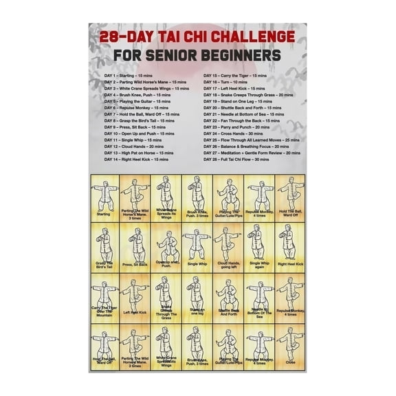 Tai Chi for Seniors Beginners 28 Day Gentle Fitness Challenge Poster Canvas Wall Art Home Decor Senior Living Exercise Routine