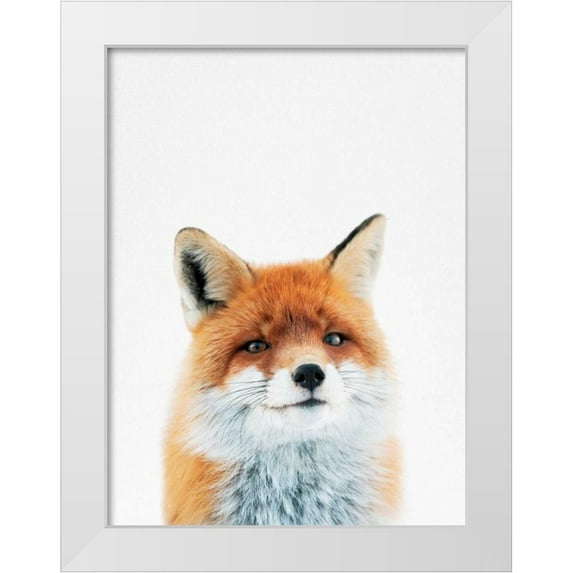 Tai Prints 12x14 White Modern Wood Framed Museum Art Print Titled - Fox