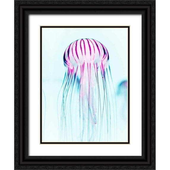 Tai Prints 19x24 Black Ornate Wood Framed with Double Matting Museum Art Print Titled - Jelly Fish