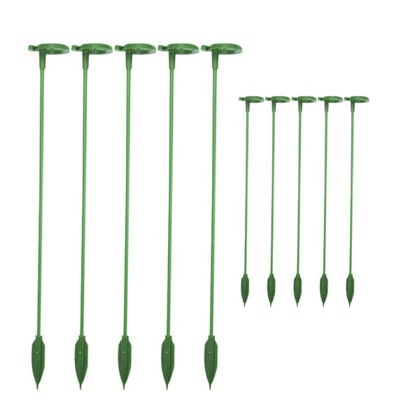 Taicans 10Pcs Plant Support Stakes,20 inch Plant Stakes Garden Orchid Sticks,Plant Sticks Support Tall for Monstera,Orchids,Tomatoes,Vines & Indoor Outdoor Plants