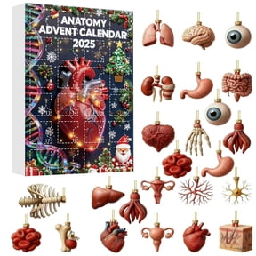 Taicans 2025 Anatomy Advent Calendar - 24 Days of Human Organs,Science Education,Christmas Countdown,Holiday Decor,STEM Gift,3D Models,Anatomy Learning,Educational Toy