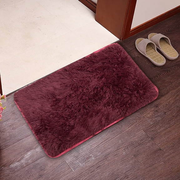 Taicans Area Rugs for Bedroom,23.6x15.7in Door Mat Washable Small Bedside Rug,Fluffy Shaggy Entryway Rugs for Living Room,Shag Indoor Floor Carpet