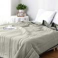 thumbnail image 1 of Taicans Cooling Comforter Queen Size,Reversible Lightweight Cooling Blanket,Breathable Silk Smooth Summer Bedding Quilt for Hot Sleepers Night Sweats Light,Cooling Blankets 55"x79" Gray, 1 of 1