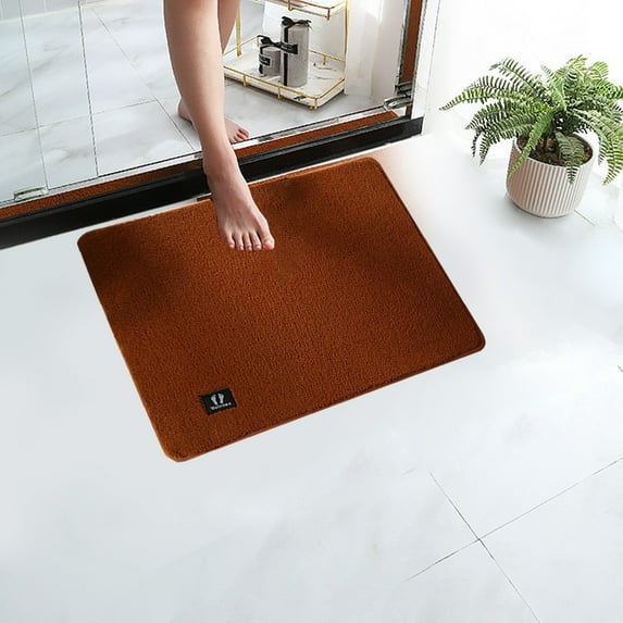Taicans Doormat Super Absorbent Mud Front Door Mat,Non Slip Absorbent Mud Trapper Mat Inside Floor Mat,Washable Small Door Carpet for Bathroom,19x26in Coffee