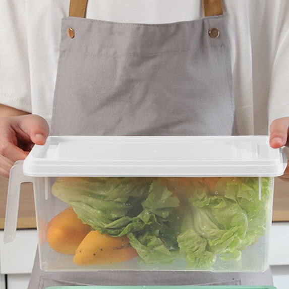 Taicans Large Clear Plastic Refrigerator Storage Box,11.6x4.9x5.9 Inch Vegetable Fruit Sorting Container with Lid,Stackable Fridge Drawer Organizer for Kitchen Pantry,Fresh Box with Handle