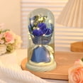 thumbnail image 1 of Taicans Preserved Rose in Glass Dome with LED Lights,Galaxy Glass Rose Eternal Rose Gift for Her,Valentine's Day,Anniversary,Wedding,Birthday Romantic Decor, 1 of 6