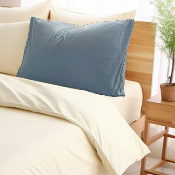 Taicans Velvety Soft & Cozy Flannel Pillowcases,Microfiber Pillow Cases,Cooling Pillowcases with Envelope Closure,Soft & Breathable Pillow Covers for Bed 29x19 Inch Sky Blue
