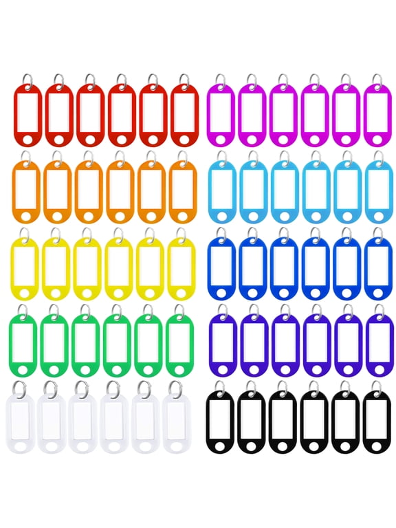 Taihexin 60 Pcs Key Rings Labels, Key Ring Tags - Key Tags Plastic 10 Assorted Colours of Key Ring Tags, Identifiers, Name Tags and Labels, Adapt to USB Drive, Keys, Pets, Bags