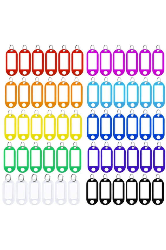 Taihexin 60 Pcs Key Rings Labels, Key Ring Tags - Key Tags Plastic 10 Assorted Colours of Key Ring Tags, Identifiers, Name Tags and Labels, Adapt to USB Drive, Keys, Pets, Bags