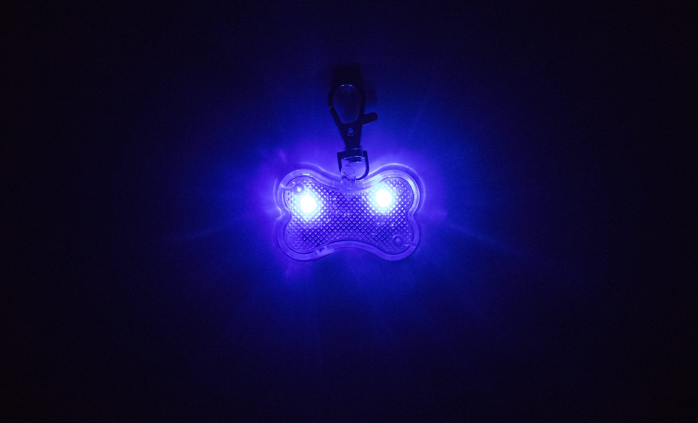 Tail Light LED Bone Shaped Collar Charm, Multiple Colors Available