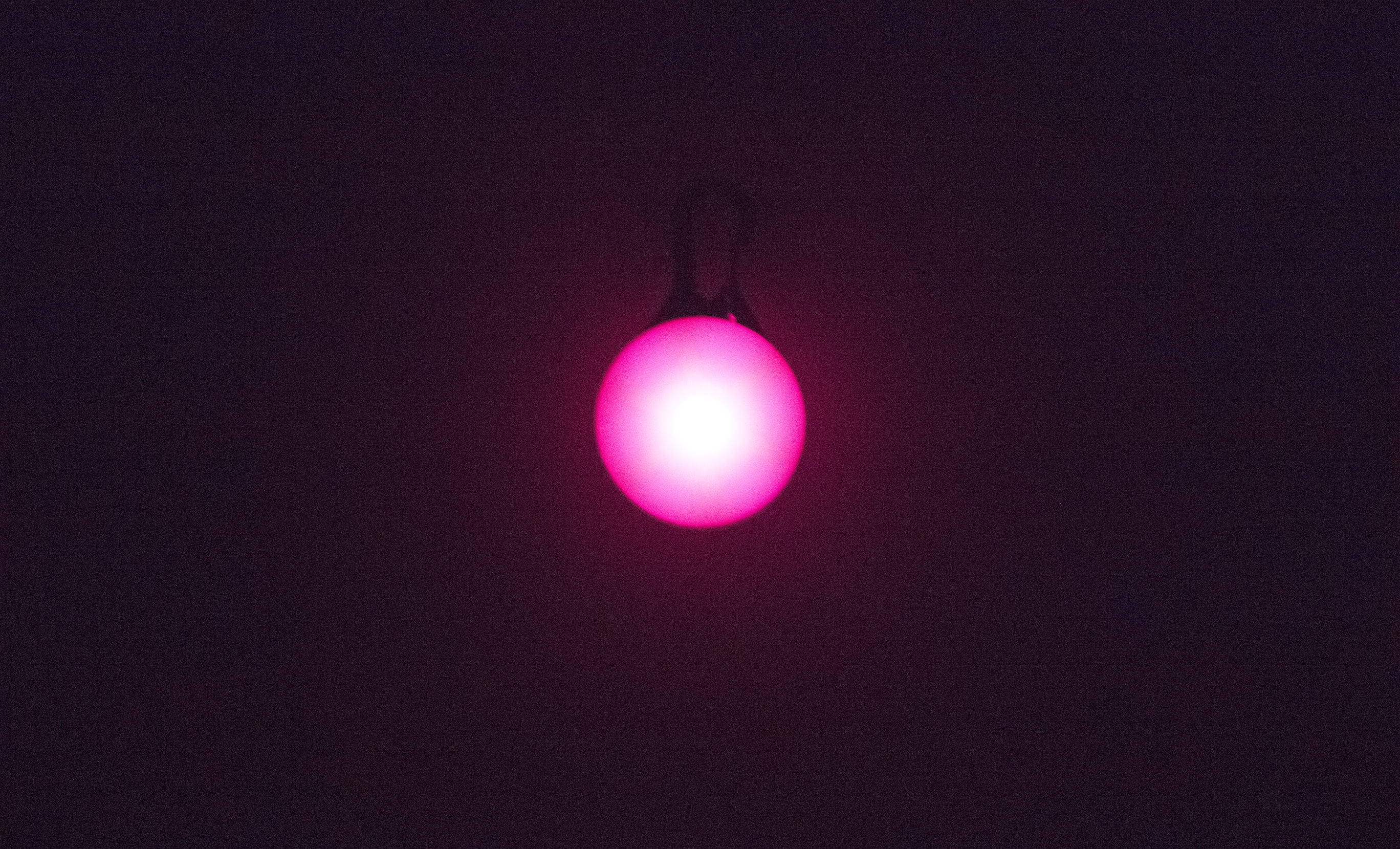 Tail Light LED Circular Collar Charm, Multiple Colors Available