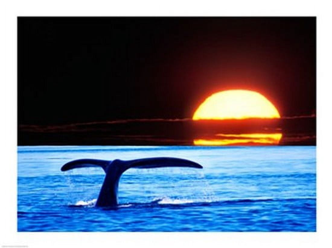 Tail fin of a whale in the sea Canvas Art - (24 x 18)