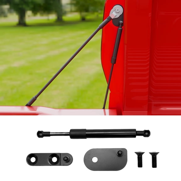 Tailgate Assist Compatible with 2019-2023 Ford Ranger North American Version (Not for 2024+) Truck Tailgate Slow-Drop Tail Gate Shock Damper Strut for 2022 Ranger Accessories (Driver Side 1PC)