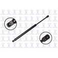 thumbnail image 1 of Tailgate Lift Support, 1 of 2