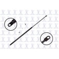 thumbnail image 1 of Tailgate Lift Support, 1 of 2