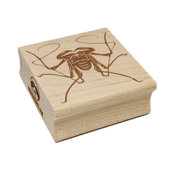 Tailless Whip Scorpion Creepy Bug Square Rubber Stamp Stamping Scrapbooking Crafting - Small 1.25in