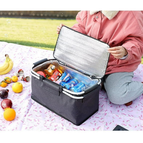 Tainini Insulated Cooler Bag With Aluminium Frame | Suitable For Picnic, Camping, BBQ And Sporting Events
