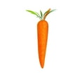 thumbnail image 1 of Tainini 2pcs Easter Hanging Carrot , 6.6in Easter Foam Carrots,Easter Carrots for Home Party Crafts Decor, 1 of 1