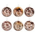 thumbnail image 1 of Tainini 6pcs Christmas Acrylic Nativity Scene Ornaments, The Birth of Jesus Religious Pendant for Xmas Home Decor,3in, 1 of 9
