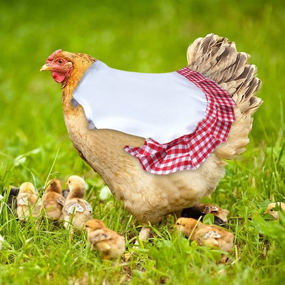 Tainini Chicken Saddles, Hens Saddles for Hen Apron for Poultry