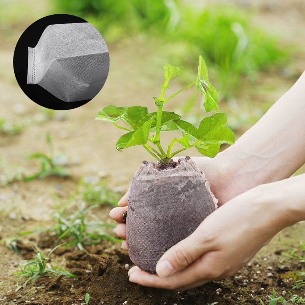 Taituoti 100Pcs Plant Grow Bag Non-Woven Fabric Grow Breeding Bags ...