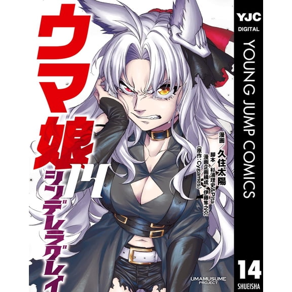 Taiyo Kusumi Uma Musume Cinderella Gray 14 (Paperback)