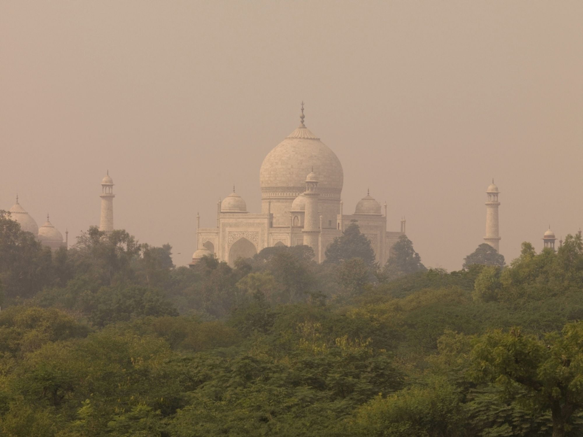 Taj Mahal Agra Uttar Pradesh India Canvas Art - Keith Levit Design Pics (36 x 26)