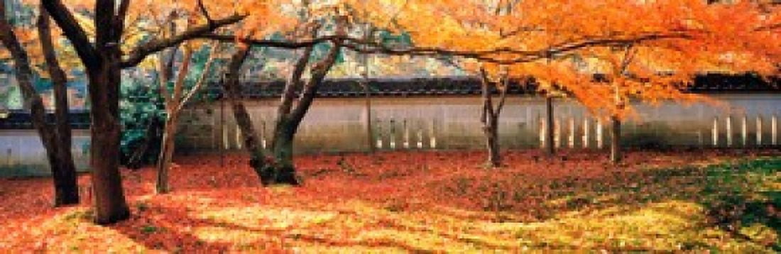 Takagamine Shouzan Kyoto Japan Canvas Art - Panoramic Images (36 x 12)