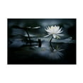 thumbnail image 1 of Takashi Suzuki 'Reflection' Canvas Art, 1 of 3