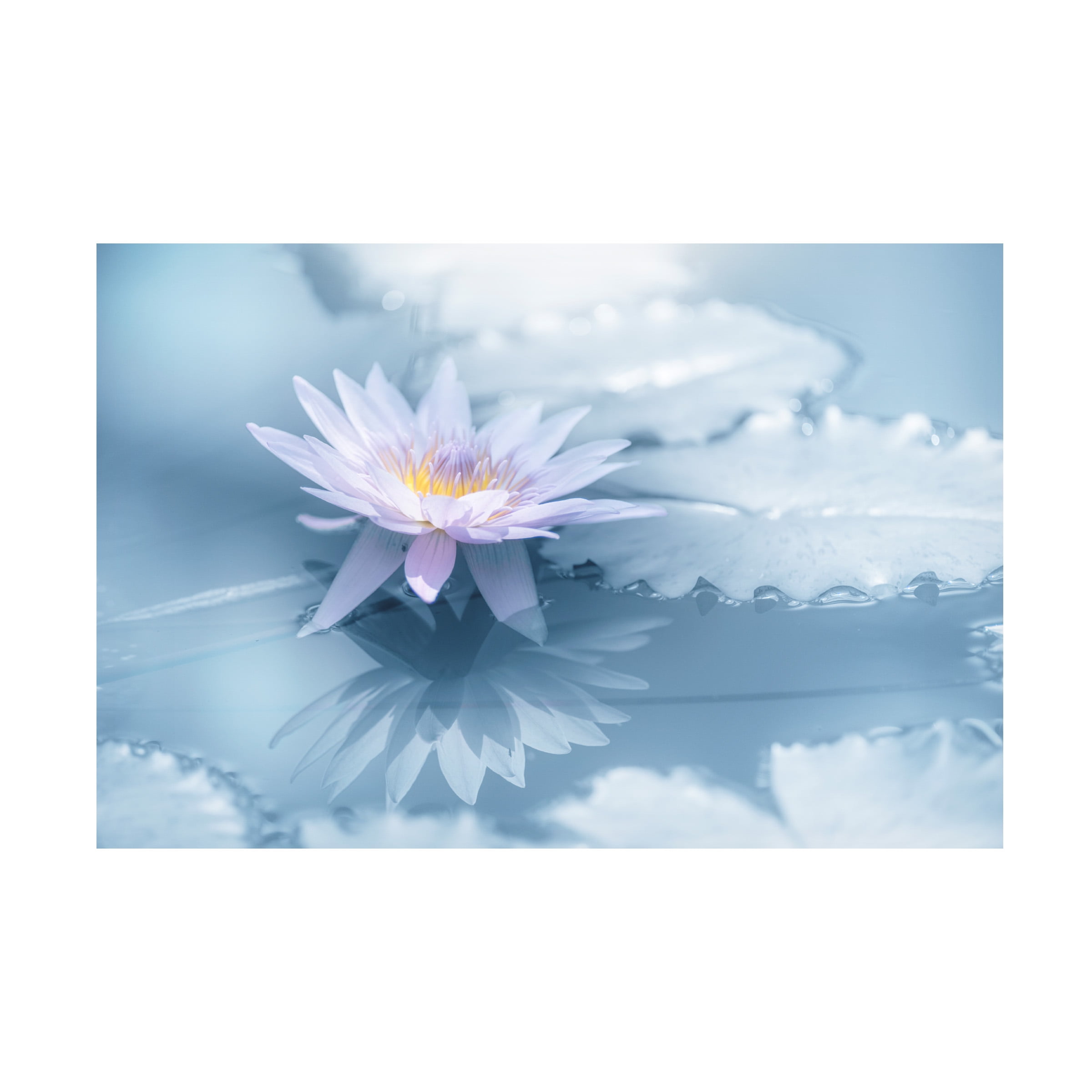 Takashi Suzuki 'Reflection' Canvas Art