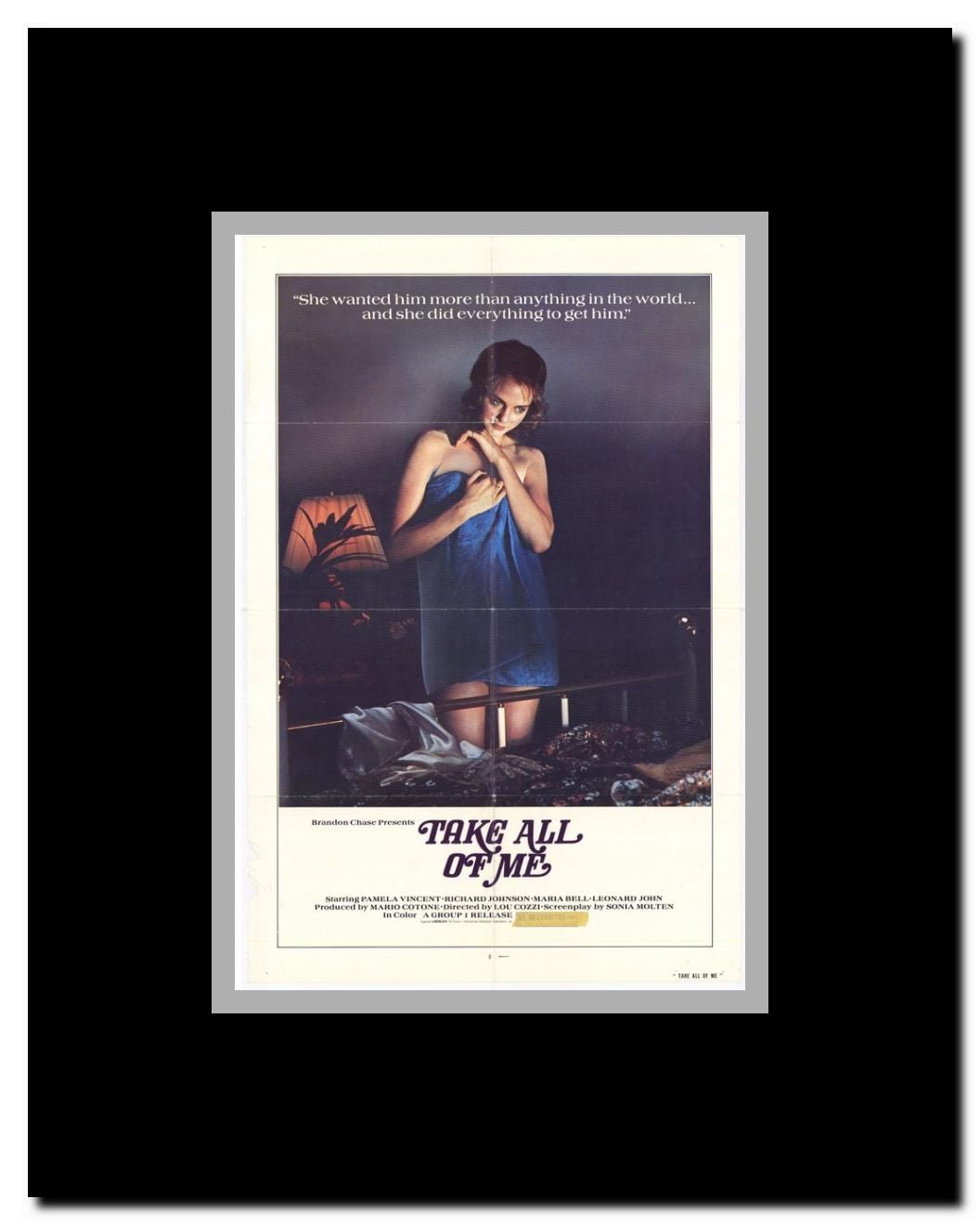 Take All of Me Framed Movie Poster