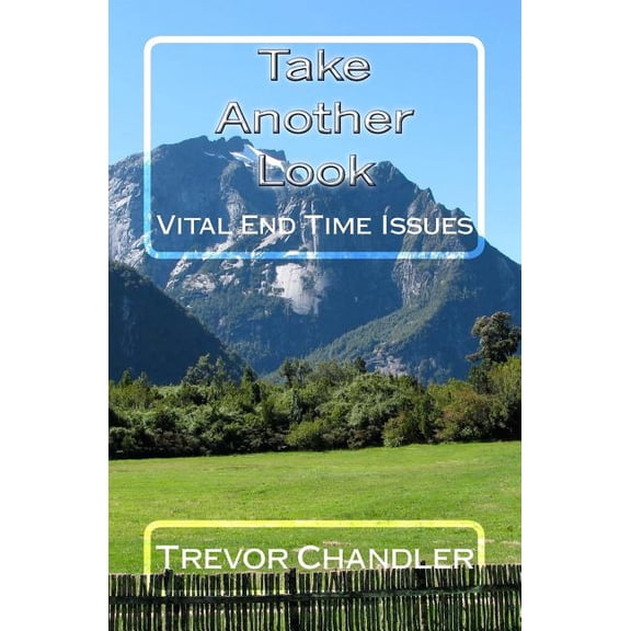 Take Another Look: Vital End Time Issues (Paperback)