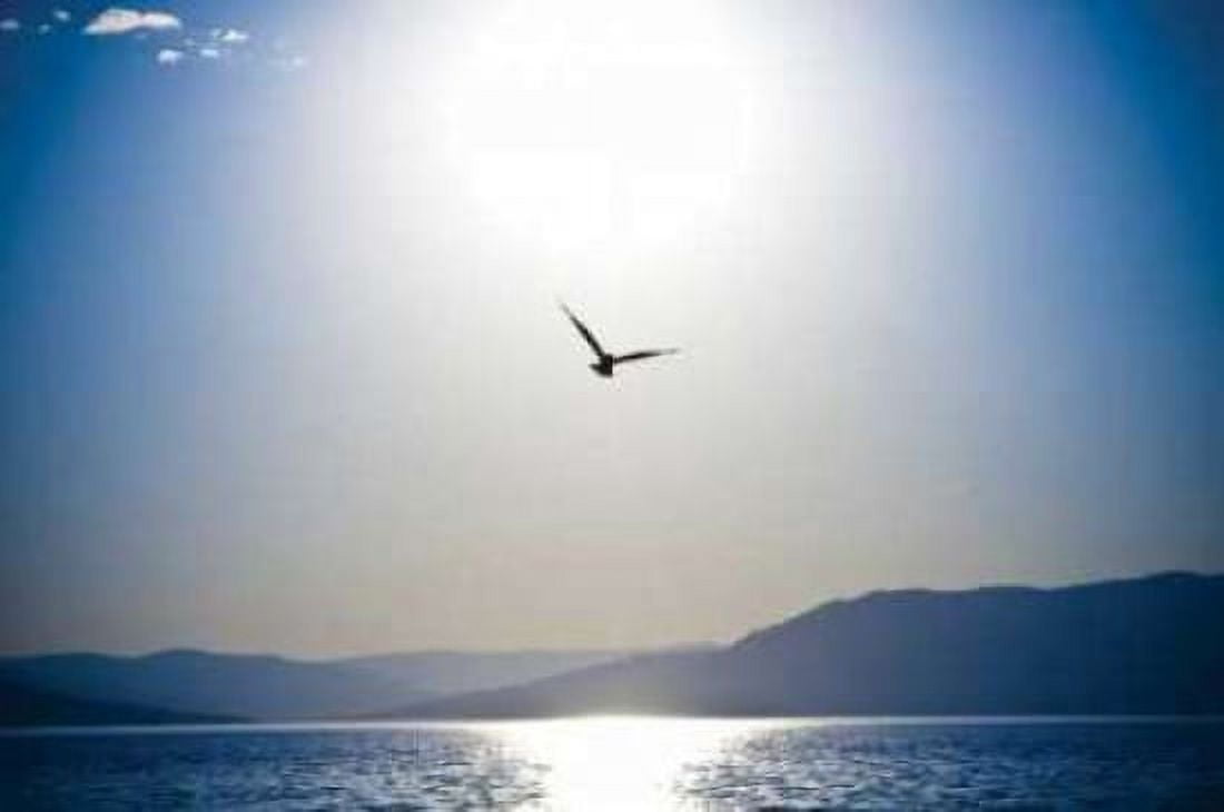 Take Flight Canvas Art - Erin Berzel (20 x 28)
