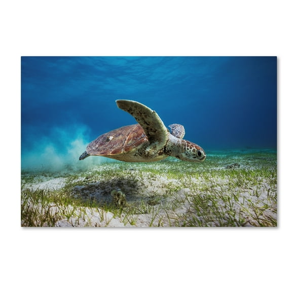 Take Off' Canvas Art by Barathieu Gabriel