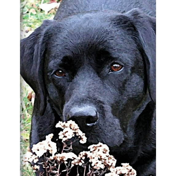Take Time Journal 8.5x11: Black Labrador Puppy Notebook: Dog Wisdom Quotes (Paperback)