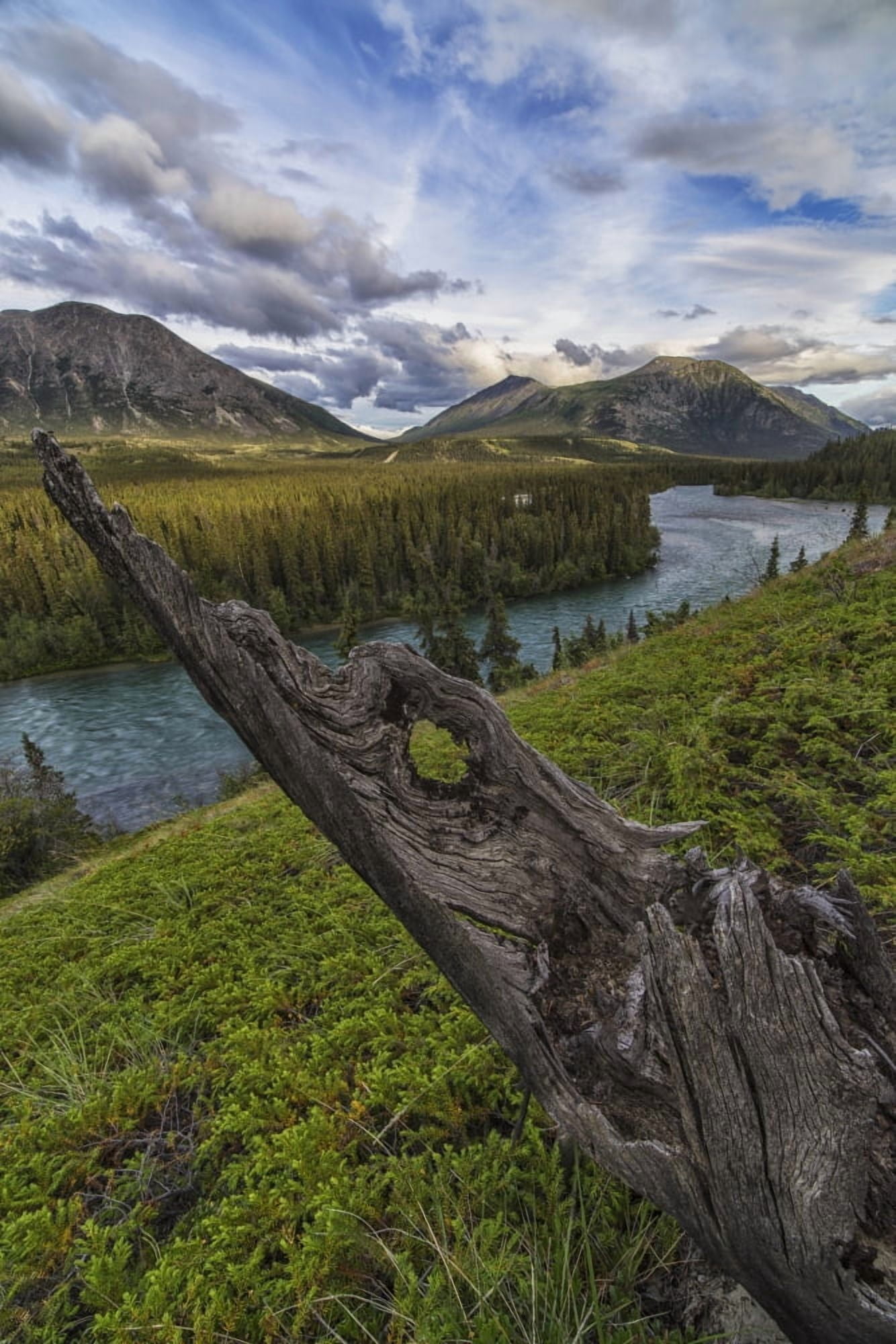 The Takhini River flows throigh a valley near Kusawa Lake with an old tree stump on the hillside at sunset Yukon Canvas Art - Robert Postma Design Pics (12 x 19)