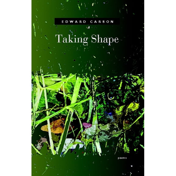 Taking Shape (Paperback)