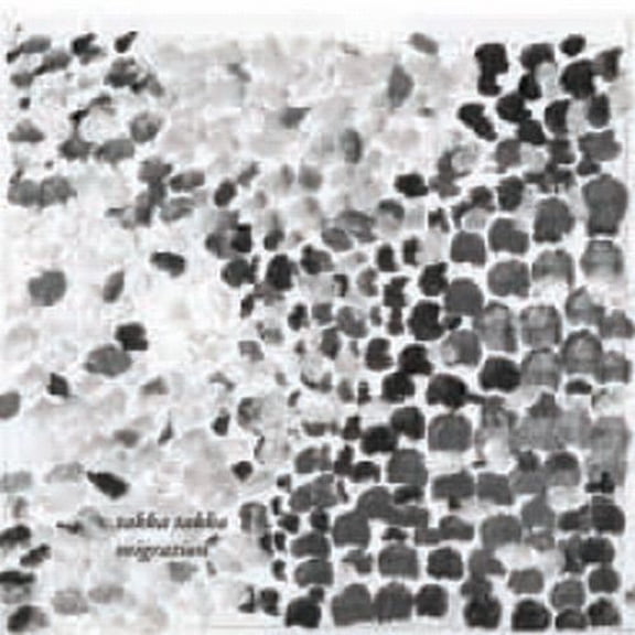 Takka Takka - Migration - Alternative - CD