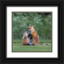 Taksing 12x12 Black Ornate Wood Framed with Double Matting Museum Art Print Titled - Red Fox